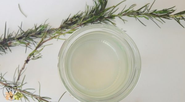 A Simple Diy How To Make Your Own Rosemary Hydrosol Wild For Nature