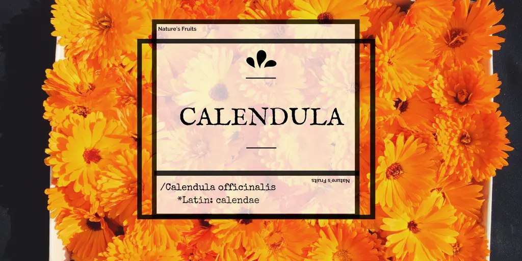 calendula health and beauty benefits