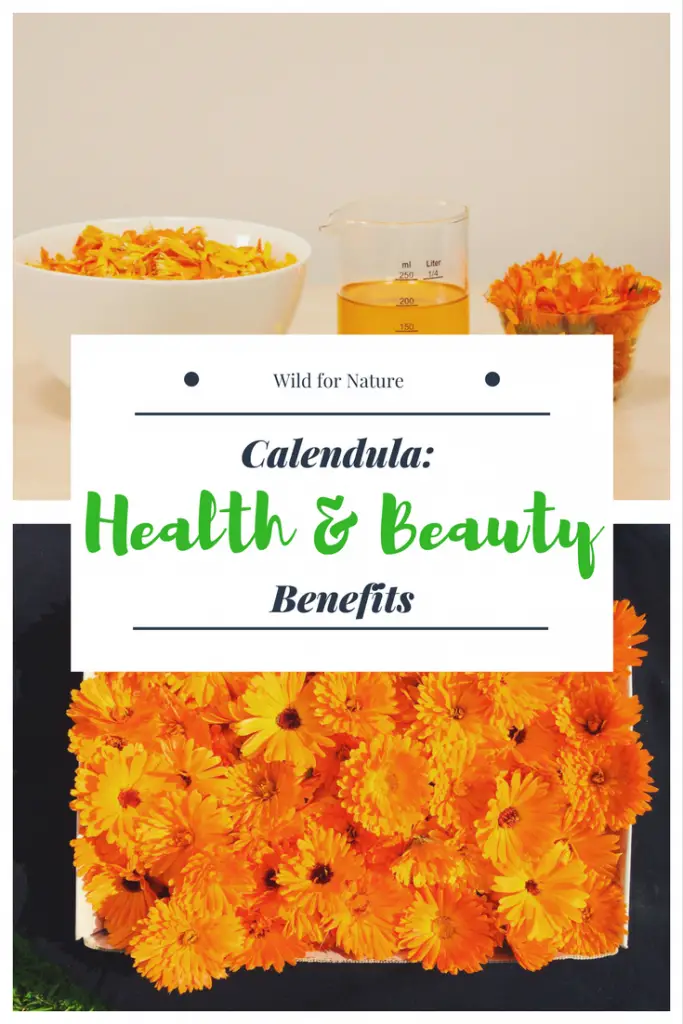 calendula health and beauty benefits