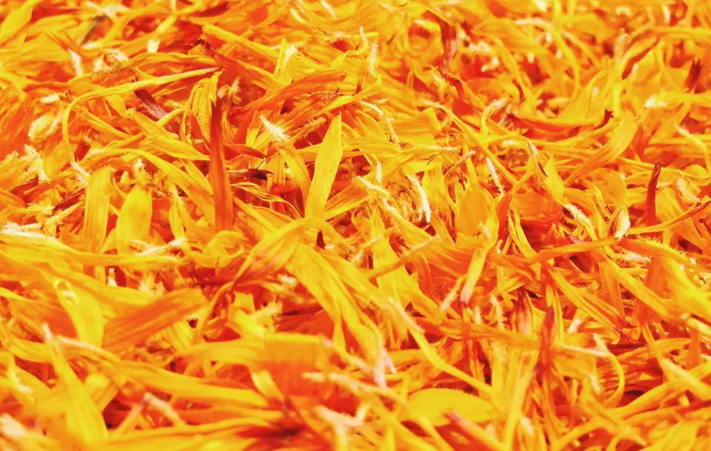 Calendula as a kitchen ingredient Fresh blossoms of calendula were used already in the Antique times as a substitute for saffron as an addition to fish or poultry dishes. Nowadays people add calendula leaves to salads, but you can even pick young shoots of calendula and pickle them in vinegar as you would cucumbers. You can also dry the petals and save them for winter; they put a nice boost of nutrition and color into all those stews and soups when it’s bleak and cold outside. Calendula tea - 2 tbsp calendula petals (if fresh, 3- 4 tbsp if dry) - A cup of hot water Pour the water over the leaves and let the mixture sit from 5 to 10 minutes. After that, the tea is ready. You can make it with dried leaves as well. The leftover leaves from the tea can be used to make OBKLADKi for certain areas of your skin that need healing: in case of smaller wounds, cuts, bruises or sunburns.