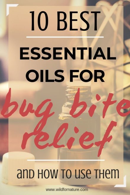 9 Best Essential Oils For Insect Bites (+10 DIY Bug Bite Recipes ...